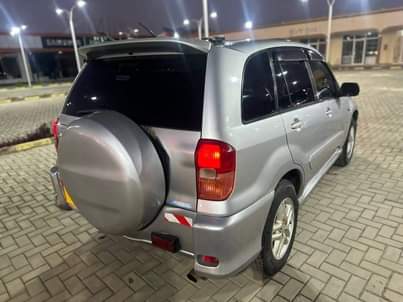A picture of Rav4