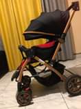 A picture of Stroller