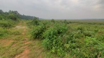A picture of 50 100 plot in kasanje bunjo at only 8.500.000