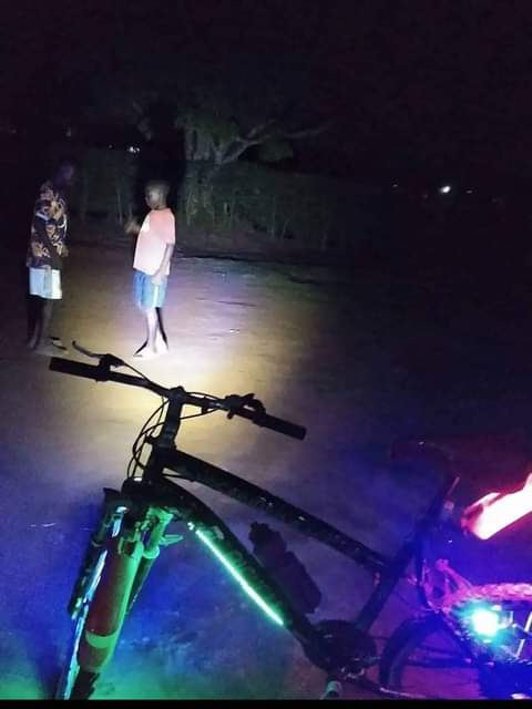 A picture of Bike electric