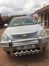 A picture of Harier kawundo
