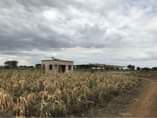 A picture of Land for Sell 5 acres