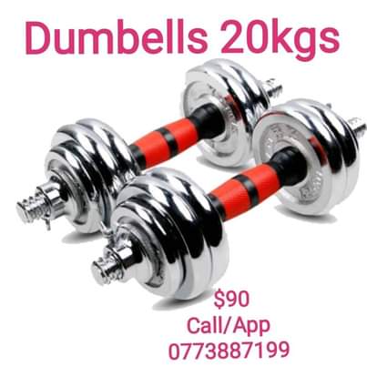 Zim best sale dumbbells price