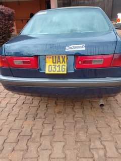 Jagwe M.