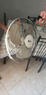 fans