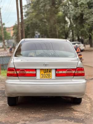 A picture of Cars