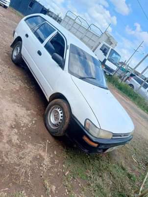 Ngenga M.