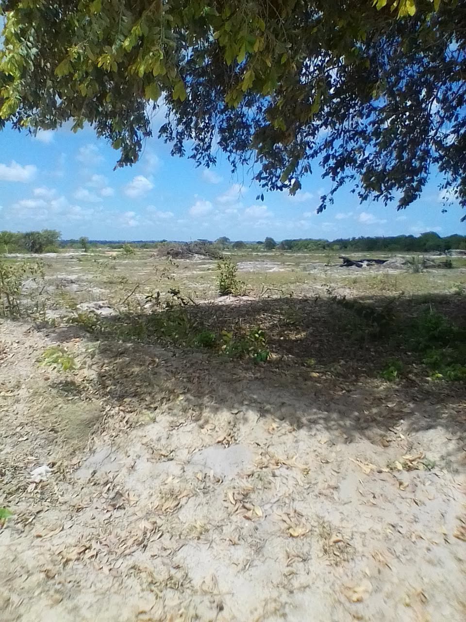 A picture of 38 Acres