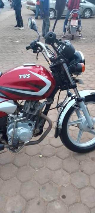 motorbikes