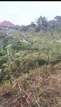 A picture of ANTI MR PROPERTY MANAGEMENT PLOT FOR SALE LOCATED AT NAKAWUKA