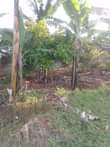 A picture of A house on 52 decimals in kitende