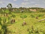 A picture of Plot for sale in mbarara city WhatsApp 0781260064