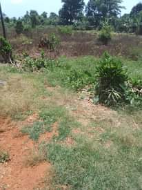 A picture of 100 by 180 for sale in Kiganda Kisoga along mukono