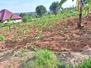 A picture of RWANDA COUNTRY BUGESERA NYAMATA MARANYUNDO