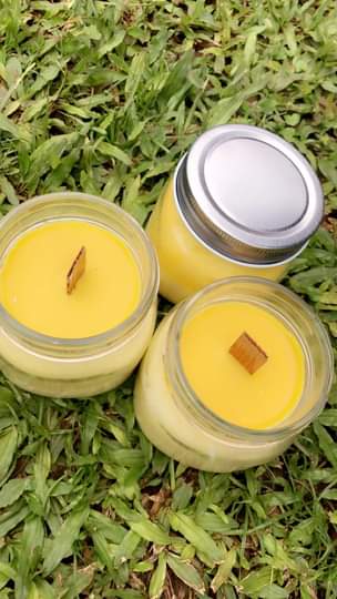 A picture of Scented and insect repellent candles