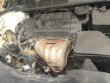 A picture of NEAT VENZA