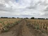 A picture of Land for Sell 5 acres