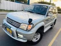 A picture of PRADO 2001