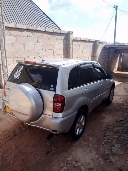 A picture of RAV4 kill time