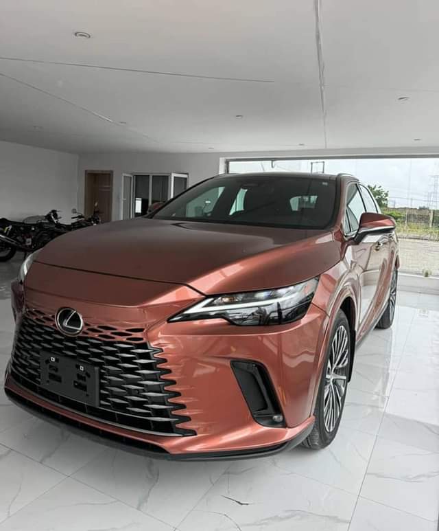 A picture of Rx 350 2023