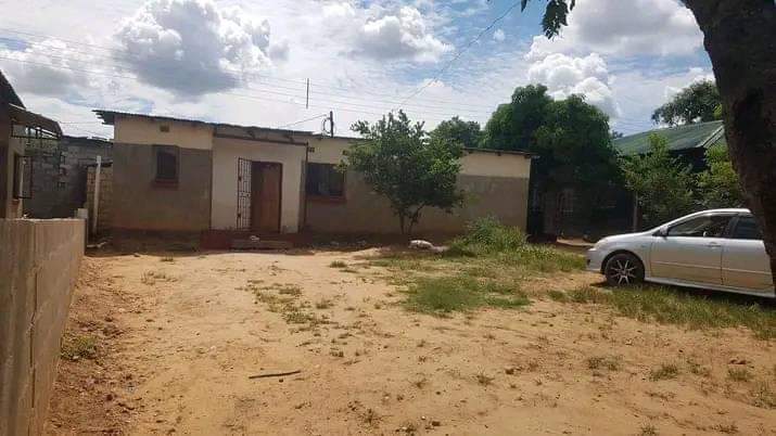 kabanana
