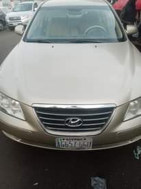 A picture of Hydunia sonata 09