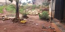 A picture of Quick Sale 50 100ft In Buloba