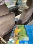 A picture of Wine Camry Tiny Light For Sale