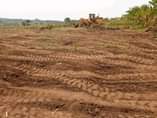 A picture of Matugga BAALE Commercial Plot Quick sale 5 5m 100by50ft 50by50ft
