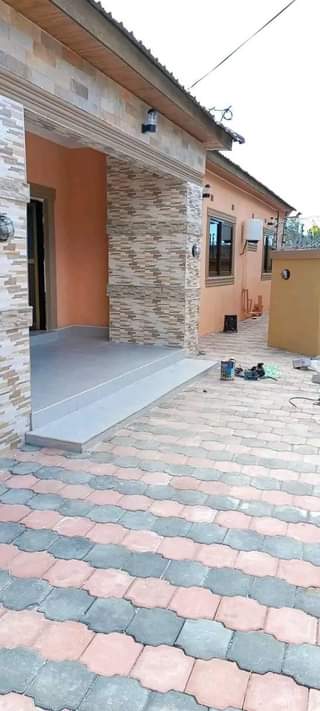new kasama