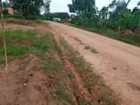 A picture of Kasangati nalusuga site Plot size 100by50ft 21m Plot size 70by50ft