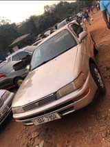 A picture of Runix at 13 6m Cash 0708945019 Kikumi at 6m cash