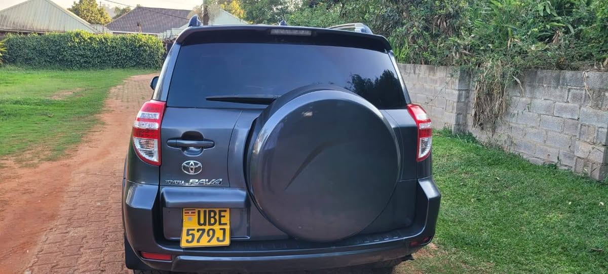 A picture of Rav4