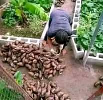 A picture of My friend December is coming again make your family proud