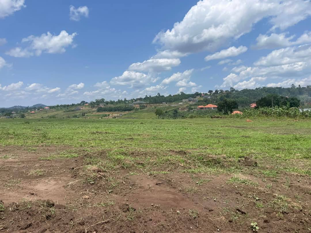 A picture of PRIME ESTATE LOCATED BUJJUKO MITYANA ROAD