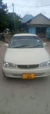A picture of 2 9m 0688147887