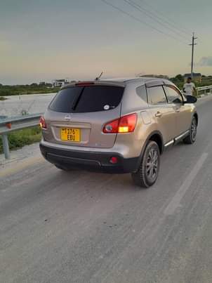 A picture of Nissan Dualis