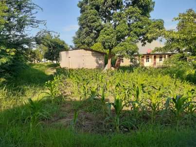 A picture of Mabanda