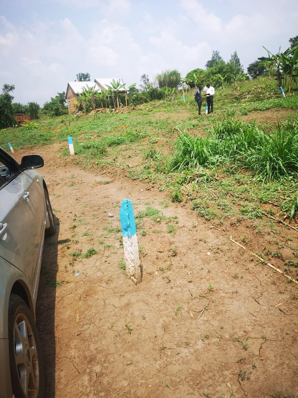 A picture of Plots in Wakiso 50x100ft 6m