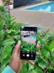 A picture of Samsung S10