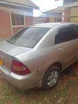 A picture of Toyota Corolla