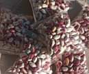 A picture of karanga white n red Byuti byuti tam tam