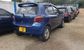 A picture of vitz