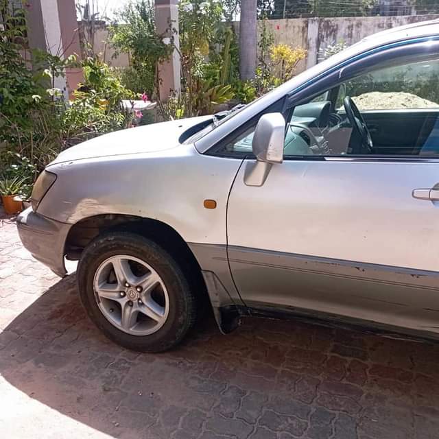 A picture of Harrier forsale