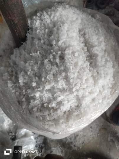 A picture of Lomus pure low