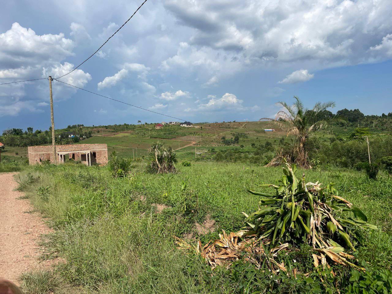 A picture of PRIME PLOTS LOCATED WAKISO GOBERO HOIMA ROAD