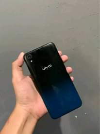 A picture of Vivo Y91c