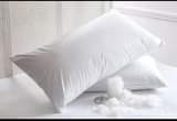 A picture of FIBRE PILLOWS AVAILABLE