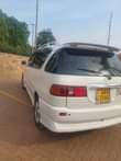 A picture of Ipsum 8million now now 0703290353