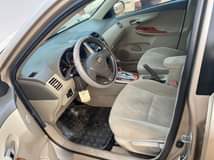 A picture of corolla
